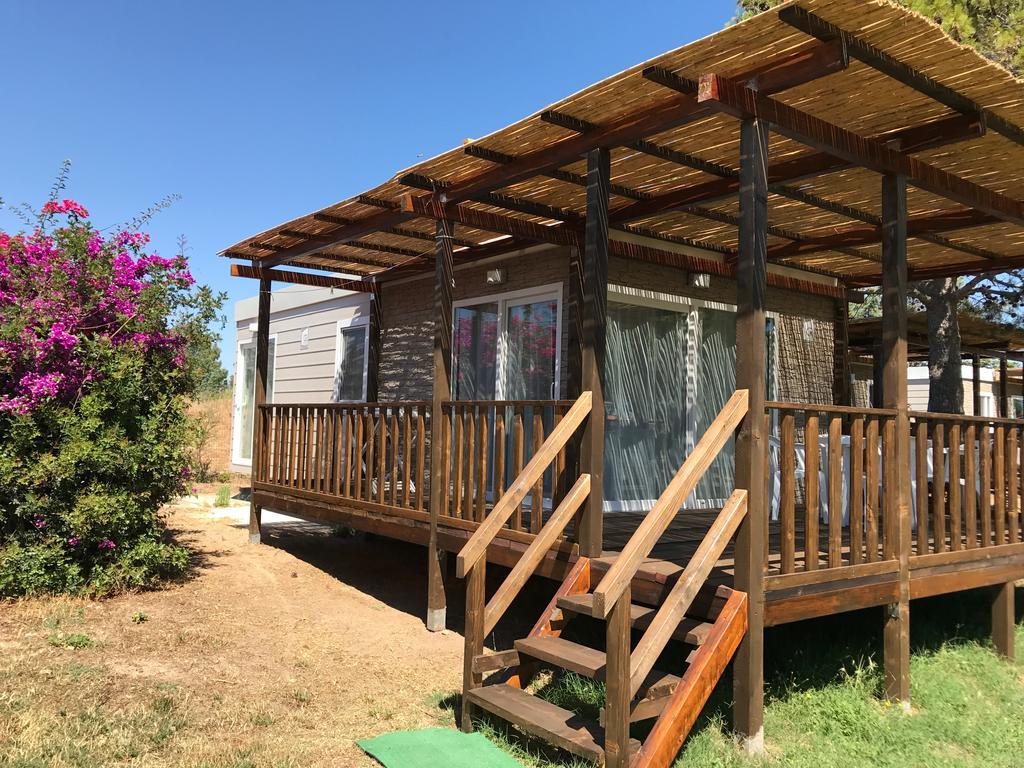 Camping Ermosa Позада Екстер'єр фото